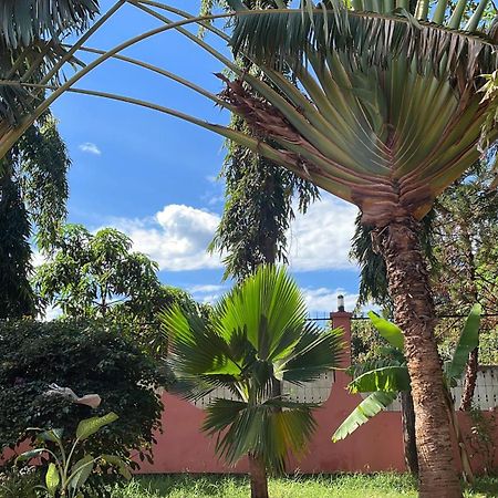 Bungalow X Garten & Terrasse X Wlan X Europaeisch Moshi Eksteriør bilde