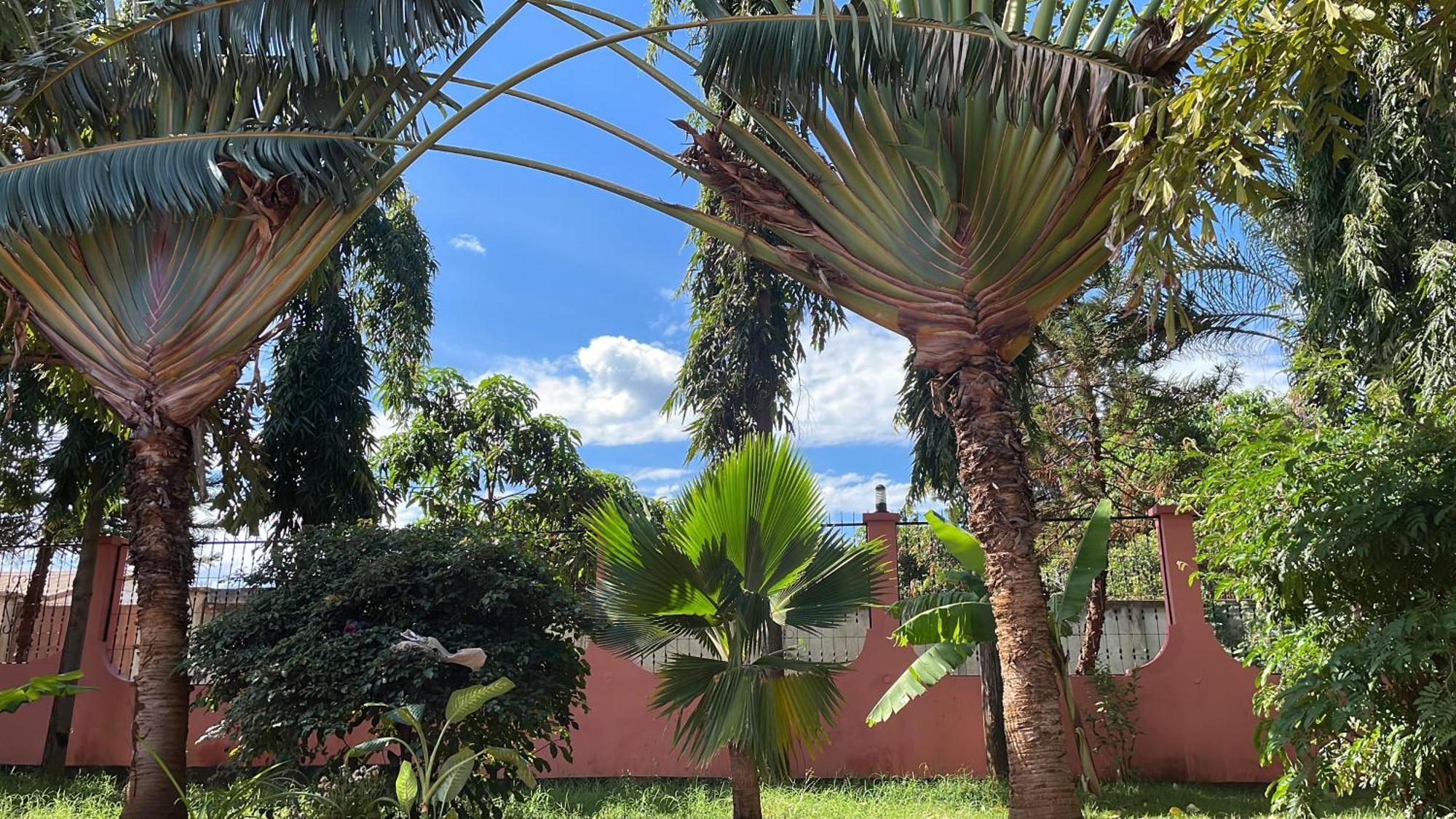 Bungalow X Garten & Terrasse X Wlan X Europaeisch Moshi Eksteriør bilde